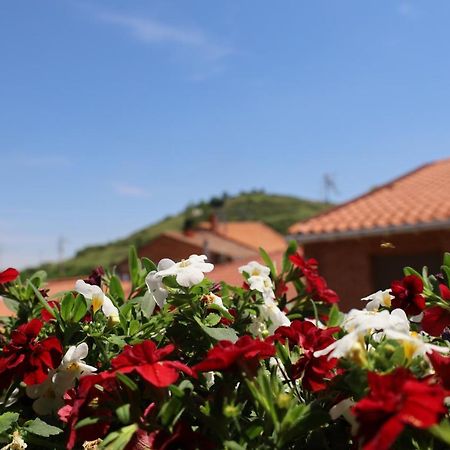 Naquela Castroviejo Guest House Exterior photo